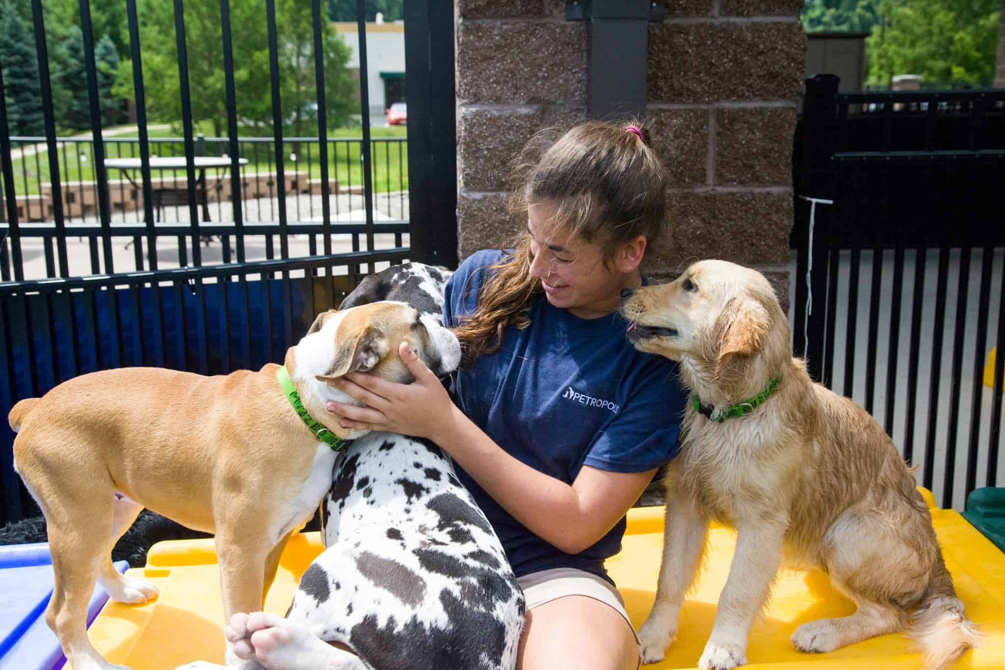 Veterinary supervised dog care and wellness support